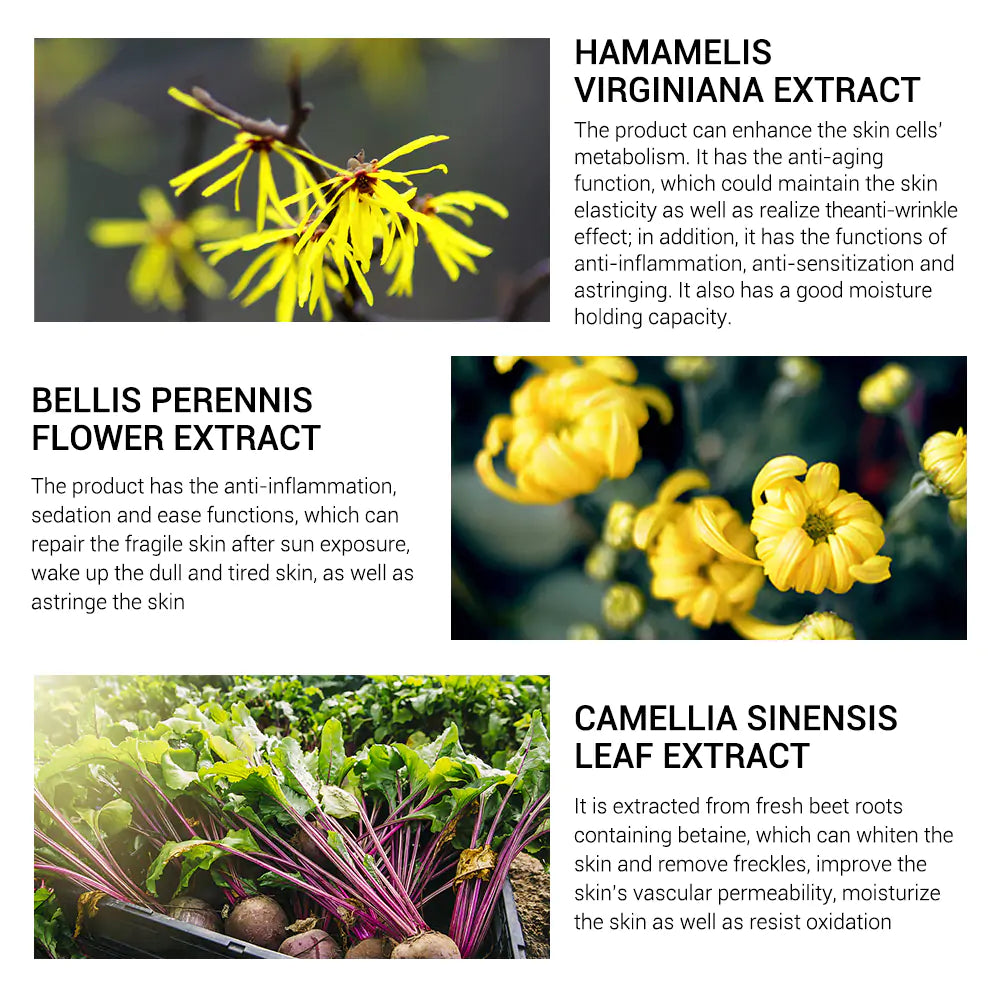 Pore Minimizer Serum