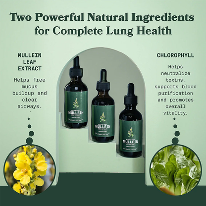 Mullein Leaf Extract